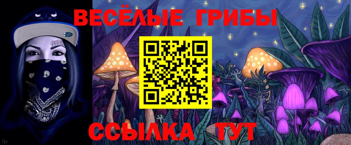 Новоуральск  Галлюциногенные грибы мицелий  Вход с VPN 