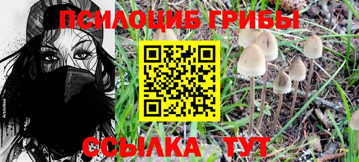 Псилоцибиновые грибы MAGIC MUSHROOMS Новоуральск